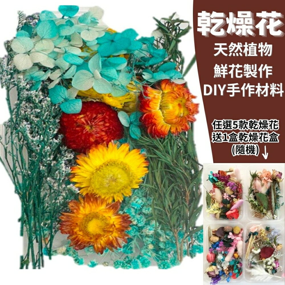 【A-ONE】DIY材料包 夢幻森林 乾燥花材料包 畢業禮物聖誕節 情人節永生花乾燥 乾燥花 浮游花材 乾燥花 A03