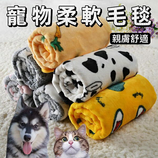 『台灣x現貨秒出』寵物柔軟毛毯 寵物毯 寵物毯子 貓咪毯子 狗狗毯子 狗毛毯 貓毛毯