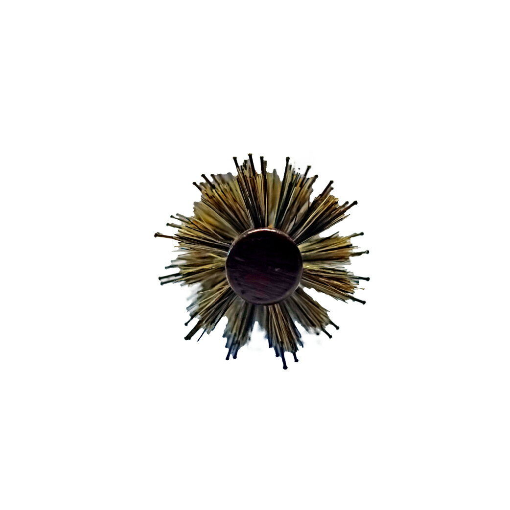 FRACIUS 法拉西施 - PRO-120 耐熱尼龍鬃毛實木圓梳 3