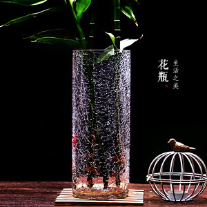 竹子富貴竹40cm玻璃透明竹銀柳養大號轉運裂紋家用花瓶高碎冰冰裂