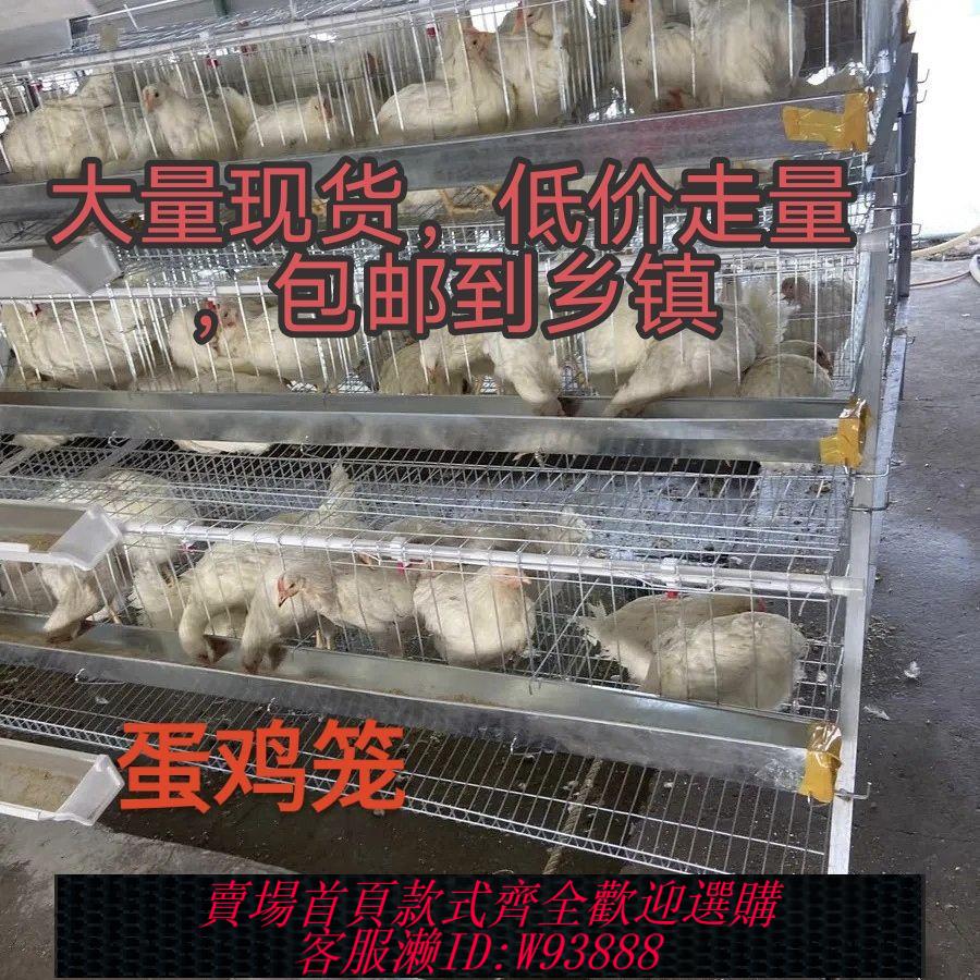 {最低價 公司貨}包郵加粗蛋雞籠階梯式雙邊6層雞籠養殖場專用4門雞籠家用籠處理