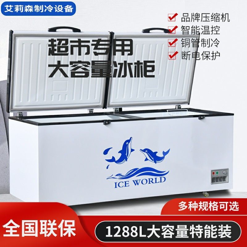 【最低價 公司貨】單溫商用超市可凍雪糕冷柜大容量冰柜家用肉類海鮮冷凍柜雙溫冰箱