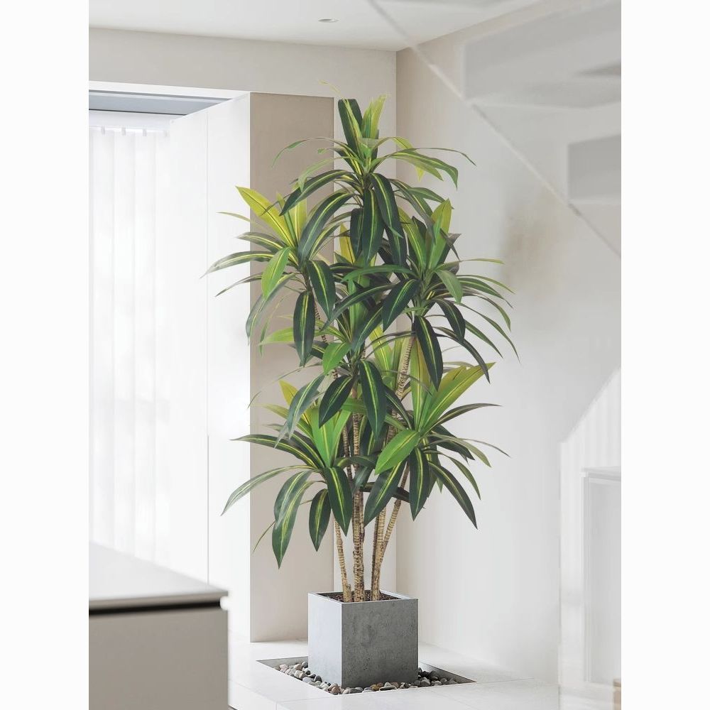 人造花 仿真植物 模擬樹 模擬綠植 模擬擺飾 歐ins風模擬綠植巴西木盆栽假植物盆景室內客廳落地裝飾造景137S 快速出貨