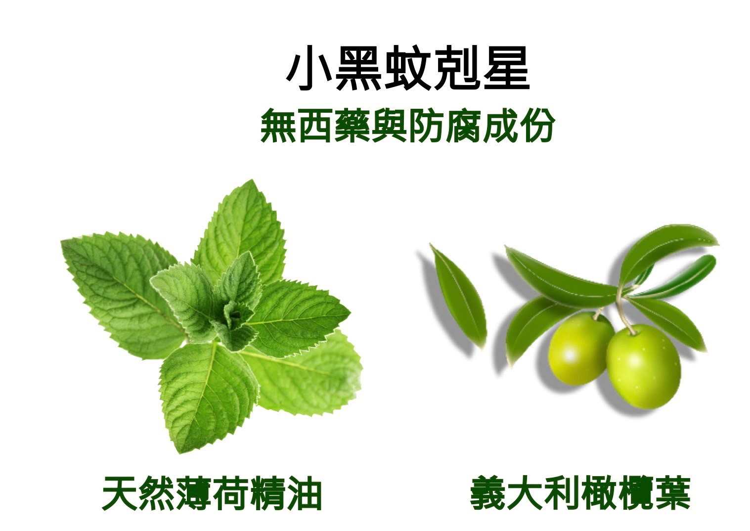 現貨 官方正品授權  獅牌 小黑蚊剋星 清涼乳膏（15g） 台灣製造 登山 露營 戶外活動 澄石藥局 3