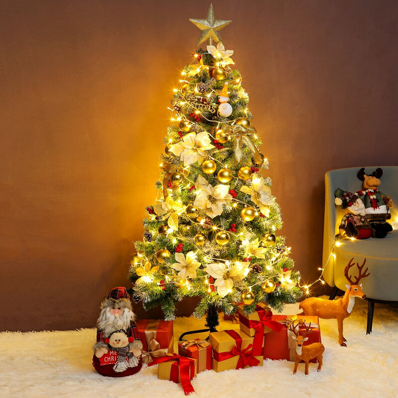 可開發票新款沾白聖誕樹家用1.5米套餐1.8diy加密擺件2.1聖誕節裝飾品發光 小山好物嚴選