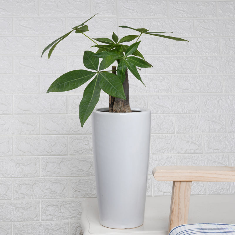 花盆 陶瓷花瓶白色花盆高款大號種發財樹綠植蘿圓柱