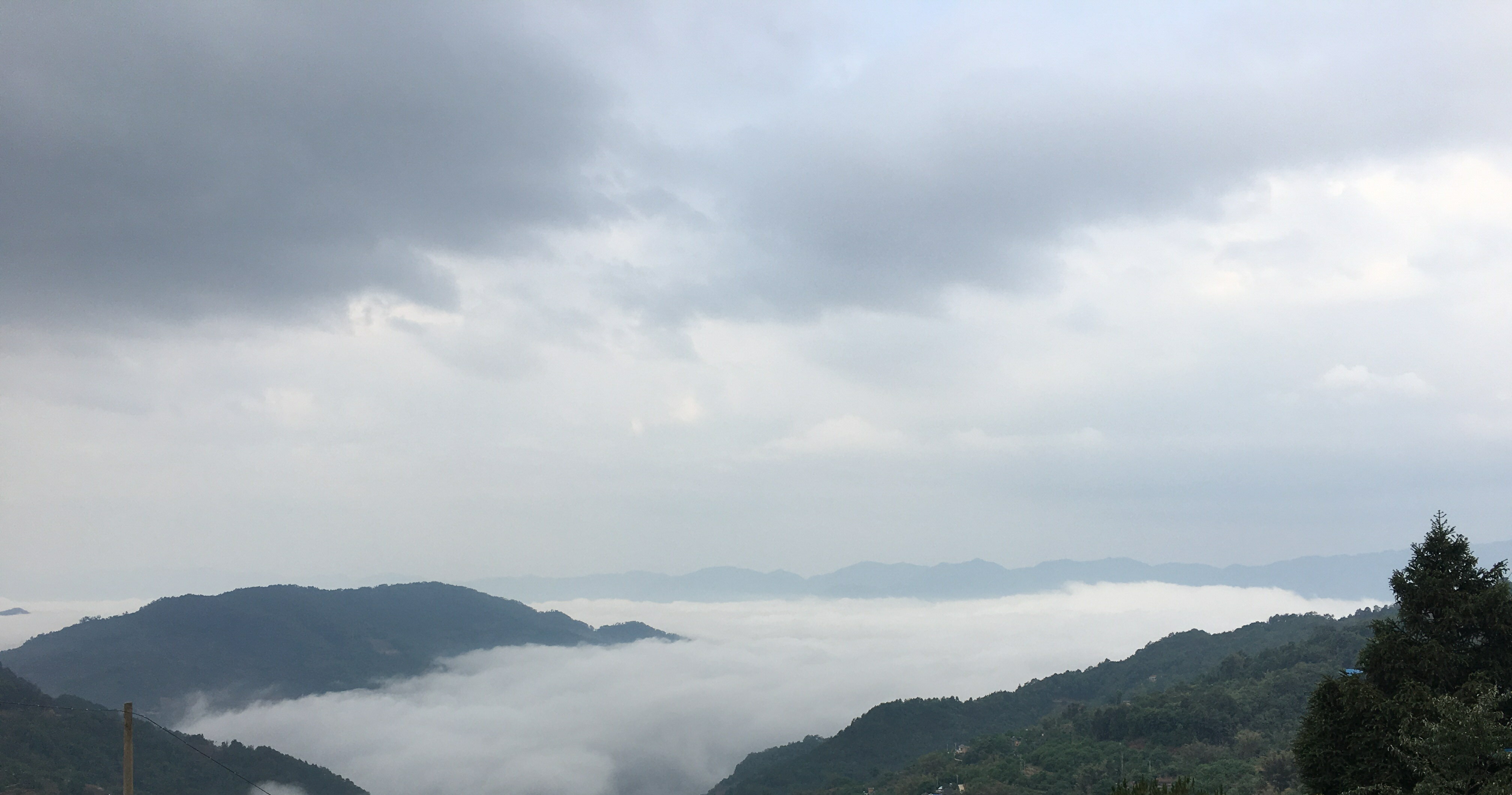 歡喜自在古樹普洱茶禮盒(2罐裝-天齊/幽香各一) 7