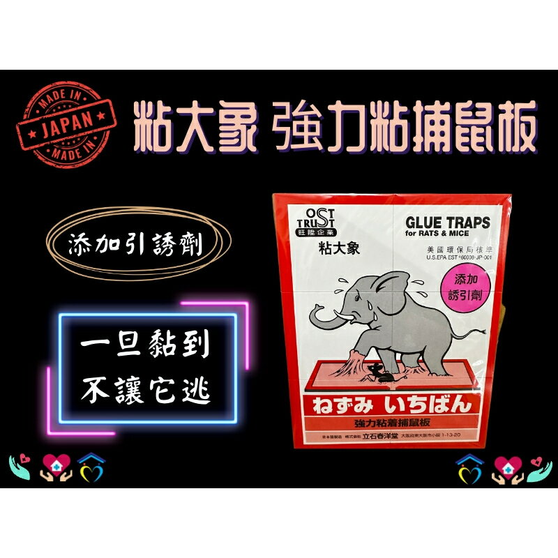 日本原裝 黏大象 黏鼠板 三共粘大象 強力捕鼠板 黏鼠板 粘鼠板 無毒性