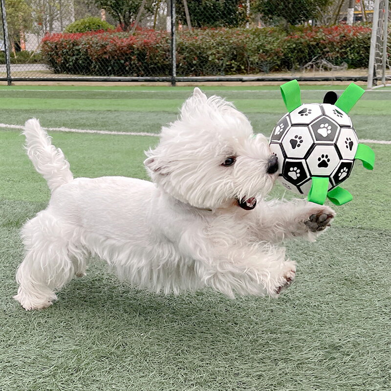 狗狗足球玩具耐咬狗解悶神器柯基磨牙寵物用品比熊泰迪小狗自嗨球