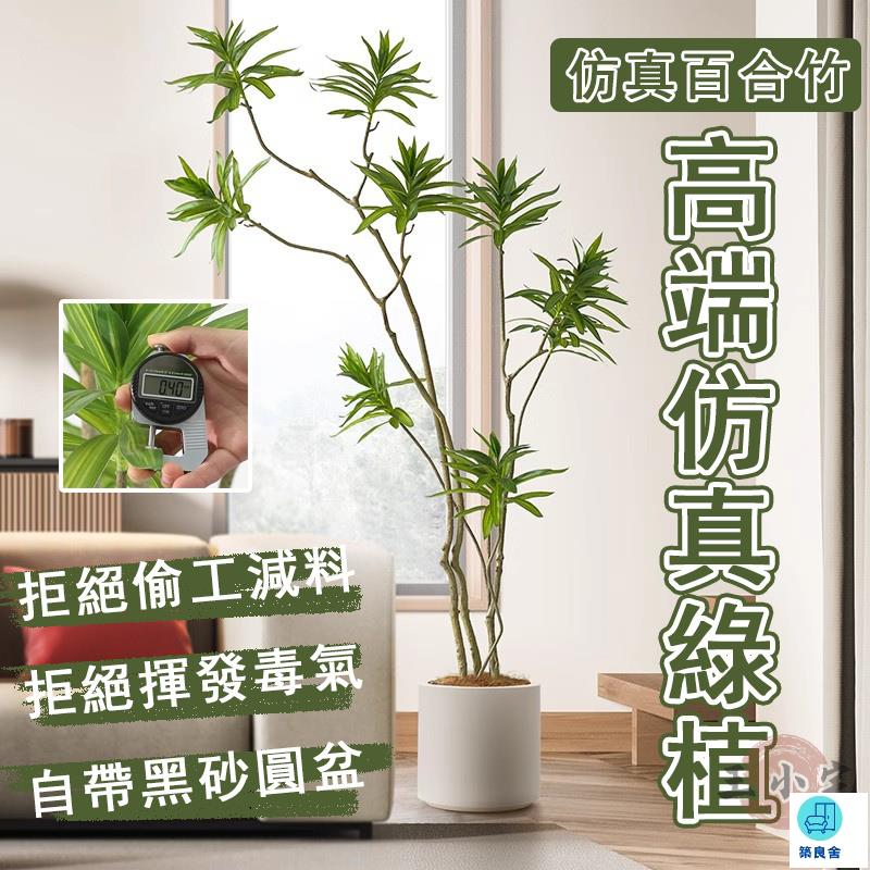 臺灣公司 工廠直銷 可開發票 【宅配免運】裝飾盆栽 百合竹 擺飾假花 假綠植 落地盆栽 仿真植物 客廳裝飾綠植 模擬綠植 仿真植物盆栽店長推薦 新品特價 5z86