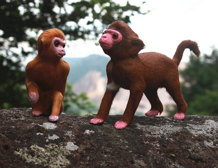定做仿真寵物動物 仿真猴子 托桃猴 仿真動物模型攝影道具