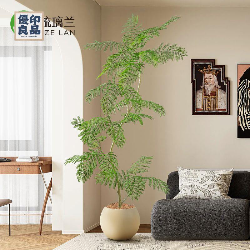 免運 工廠現貨 模擬樹 模擬綠植 仿真植物 裝飾假樹 藍花楹模擬綠植大型落地式盆栽室內客廳電視櫃裝飾擺件高檔次假樹免運 工廠現貨 模擬樹 模擬綠植 仿真植物 裝飾假樹免運/可開發票 工廠直銷 特價出 y5418