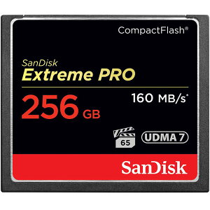 ◎相機專家◎ Sandisk Extreme PRO 256GB CF 1067X 160MB/s 256G 增你強公司貨