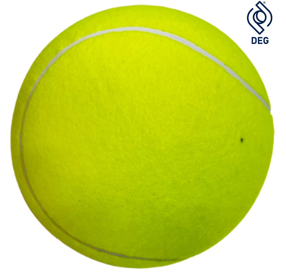 9吋大網球 選手簽名球 巨大網球 簽名球 娛樂性網球 追星必備