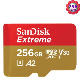 SanDisk 256GB 256G microSD【190MB/s Extreme】microSDXC micro SD SDXC 4K U3 A2手機記憶卡