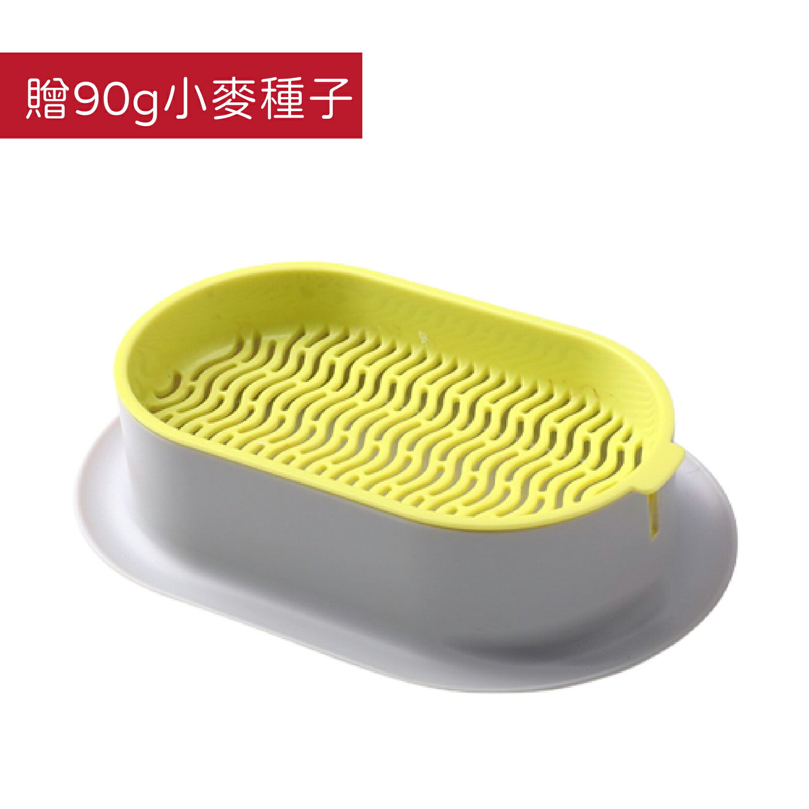 撞色貓草水培盒 貓草Diy 水培貓草盒 無土貓草盒 水培器 種貓草盆 貓草 貓草種植 小麥草【230510】 0