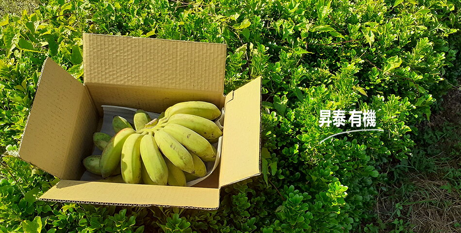 農地最青 - 限時優惠好康折扣