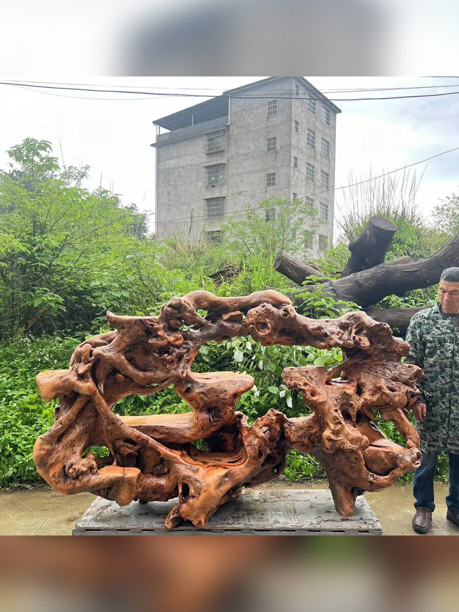 公司貨 免運可開票 支援定製 香樟木整體雕刻抱石花架陽臺客廳辦公室擺件根藝原木多功能博古架根雕源頭 來圖定製