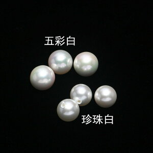 2-20mm天然貝殼珍珠仿珍珠 DIY手工半孔飾品配件 白色貝珠散珠