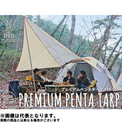 日本 DOPPELGANGER / 營舞者 DOD 五角天幕帳 天篷 /TT5-505。1色-日本必買 代購/日本樂天代購