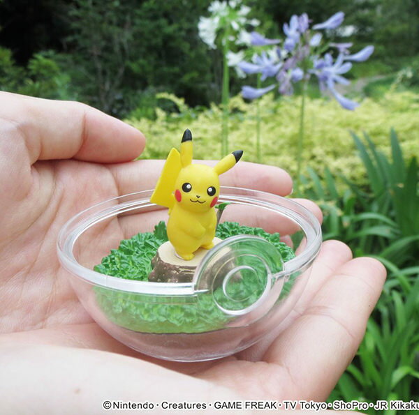 寶可夢飼育生態球擺飾盒玩第一代pokemon 神奇寶貝日本正品該該貝比日本精品 台灣樂天市場 Line購物