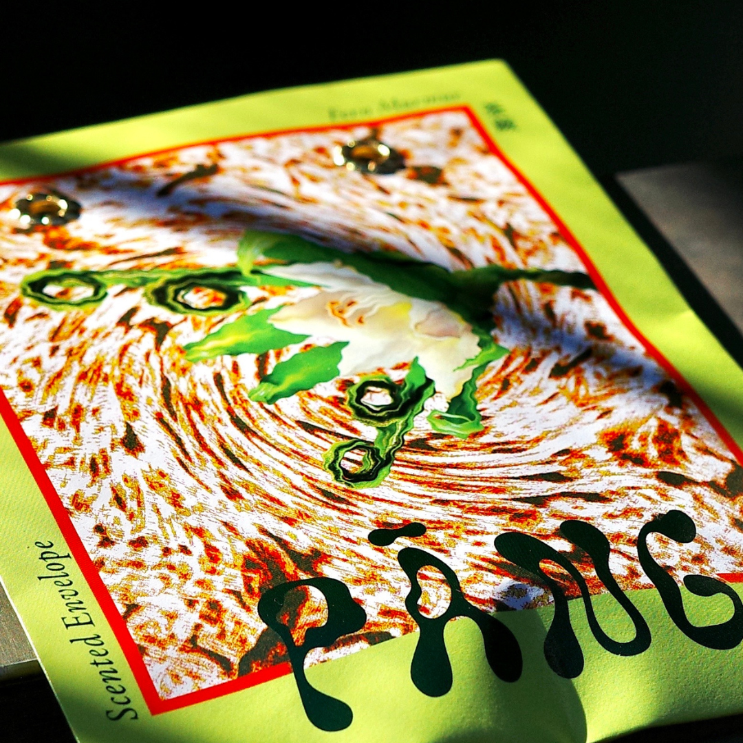 【雱 PĀNG】信封香氛袋 單入 | 茶蕨 Fern Murmur | 環境友善 質感設計 空間香氛 環保生物炭 法國設計獎銀獎