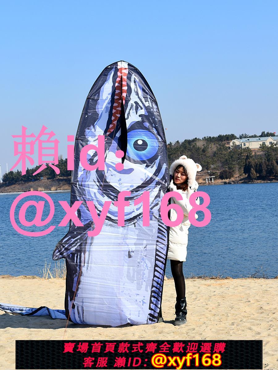 帶魚刀魚風箏成人大型特大超大專用風箏2025新款好飛易飛10米網紅