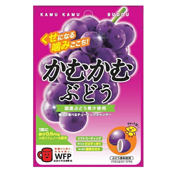 (短效特價)【江戶物語】明治產業 三菱 KAMU 咖姆卡姆糖球系列 罐裝/袋裝 嚼糖 硬糖 水果糖 咖姆咖姆 夾心糖 0