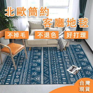 [台灣出貨] 北歐ins風地毯 客廳茶几毯 現代簡約臥室房間地墊 墊子可愛大面積床邊毯 不掉毛褪色易清