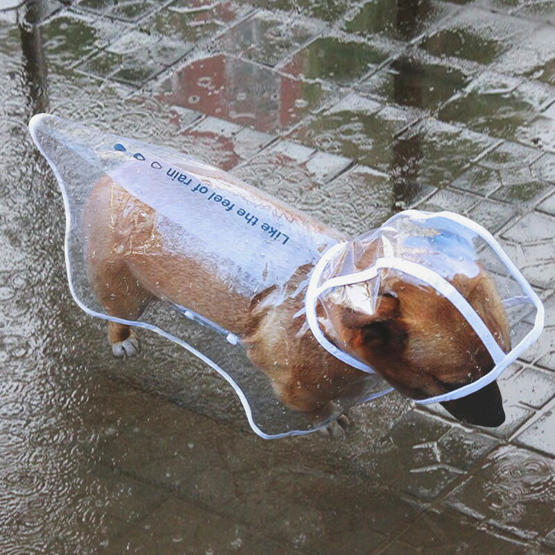 小狗狗雨衣雨鞋泰迪博美貴賓柯基寵物防水雨披小型犬四腳雨天衣服