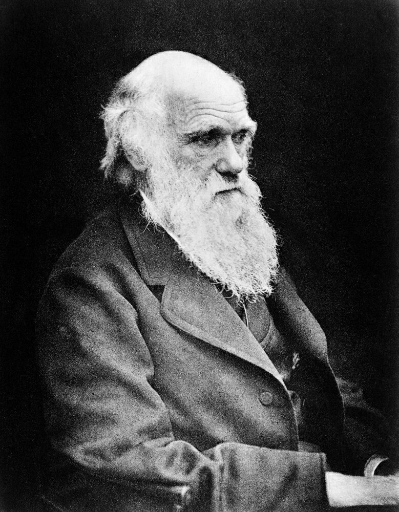 Posterazzi: Charles Darwin English Naturalist Rolled Canvas Art ...