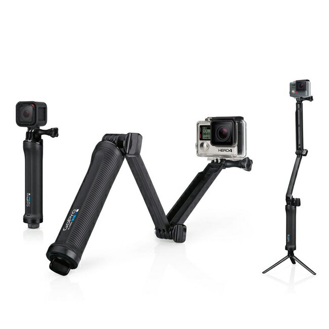 樂達數位 GoPro 原廠 三向自拍固定架 AFAEM-001