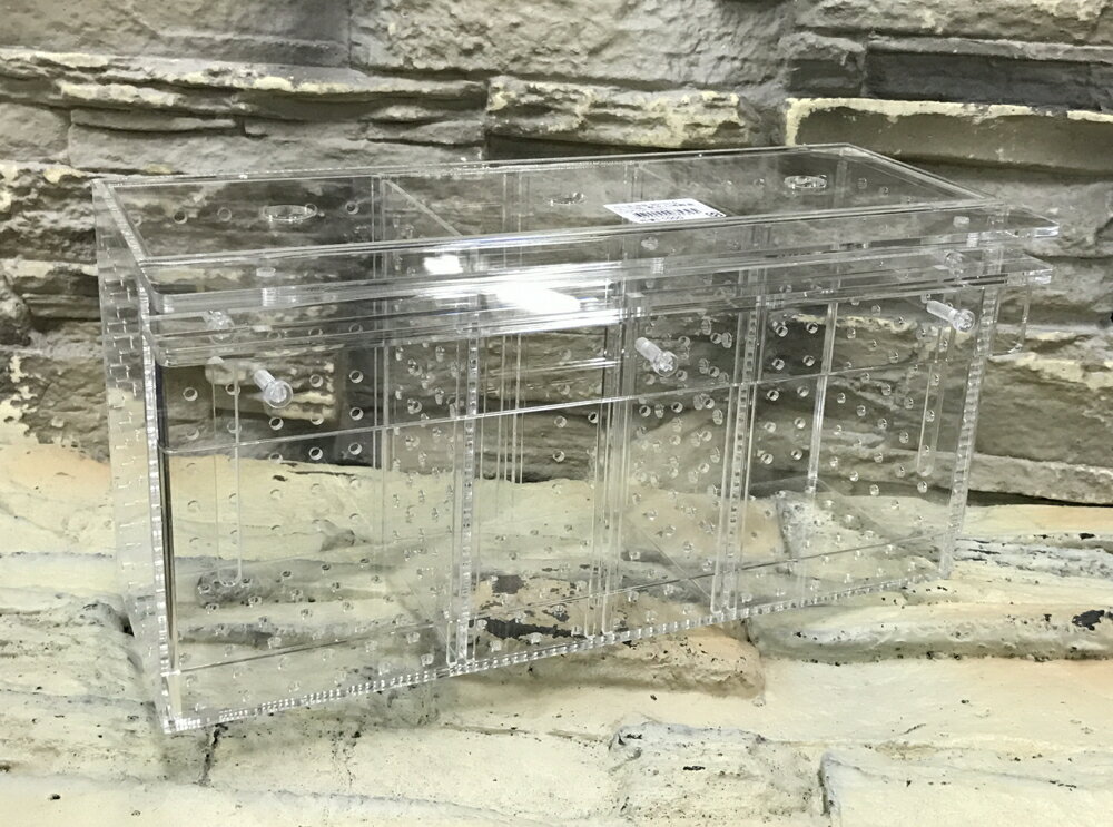 【西高地水族坊】台灣Leilih-鐳力 壓克力隔離盒 三格 30*10*15cm 飼育盒 繁殖盒