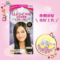 LIESE【莉婕】泡沫染髮劑 魅力彩染系列 自然黑色34ml+66ml+8g