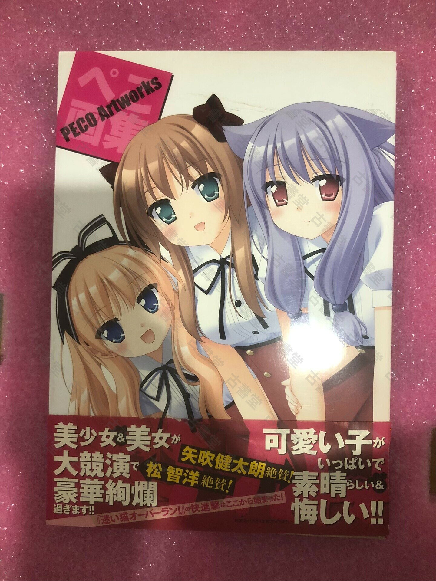 日版迷路貓PECO畫集 ぺこのきせき 日本萌畫師peco作品 成色新 Kani Biimu可愛動物畫集