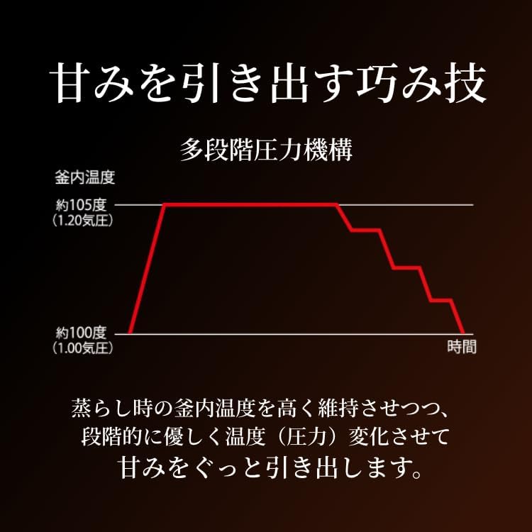 【日本直送！快速發貨！】Tiger 虎牌 JPL-T100 JPL-H100新款次頂級六人份本土鍋壓力IH電子鍋 24年款 6