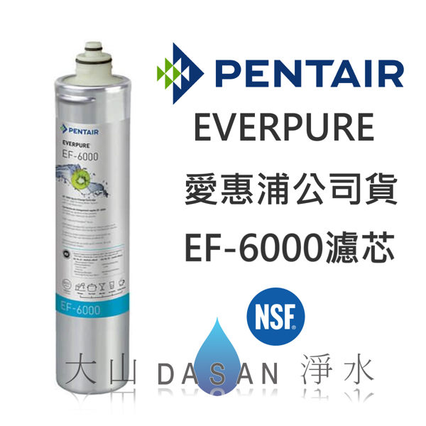 EF-6000 愛惠浦濾芯 贈7-11禮卷$300 EVERPURE 台灣愛惠浦 公司貨 濕式碳纖活性碳 EF6000 濾心