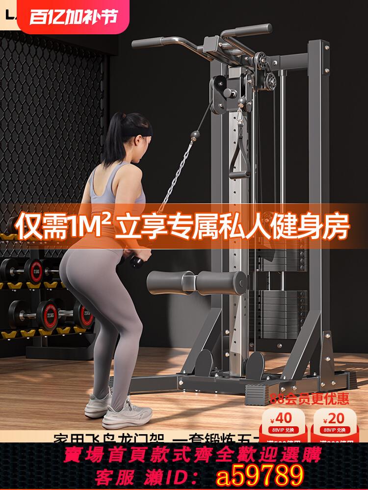 【臺灣公司 可打統編】龍門架健身家用器材單邊飛鳥多功能綜合訓練器劃船機高位下拉小型