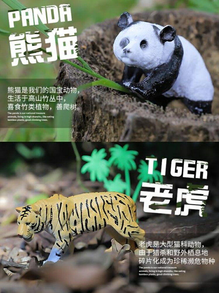 兒童動物玩具模型老虎模擬動物玩具套裝野生動物園塑膠小男孩世界 全館免運