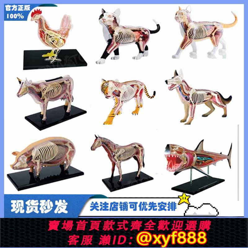 {可打統編 保固一年}4D MASTER拼裝玩具模擬動物生物鯊魚貓器官骨骼解剖教學醫學模型