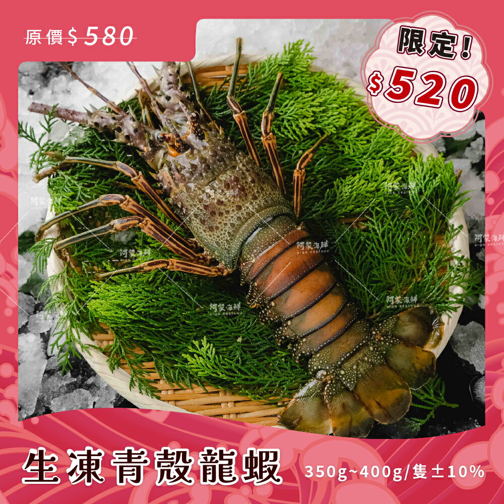 【阿家海鮮】＂母親節獨家$520限定＂頂級青殼生凍龍蝦 350g-400g/尾