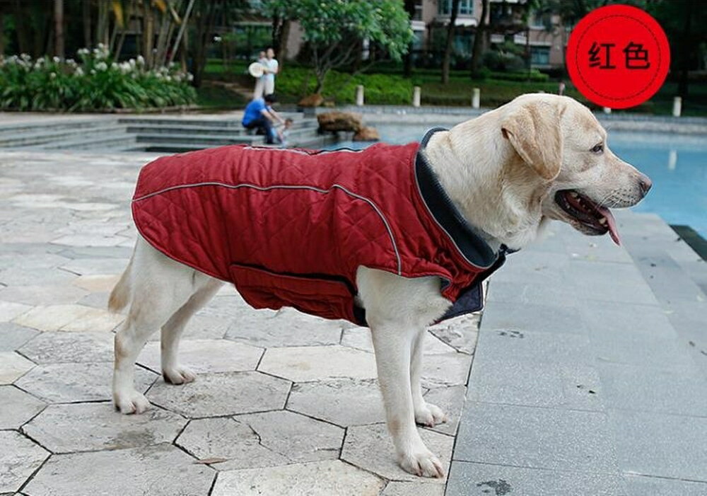 寵物冬衣 泰迪狗狗衣服裝加厚中小型犬天保暖衣服寵物服飾背心大狗服裝 瑪麗蘇