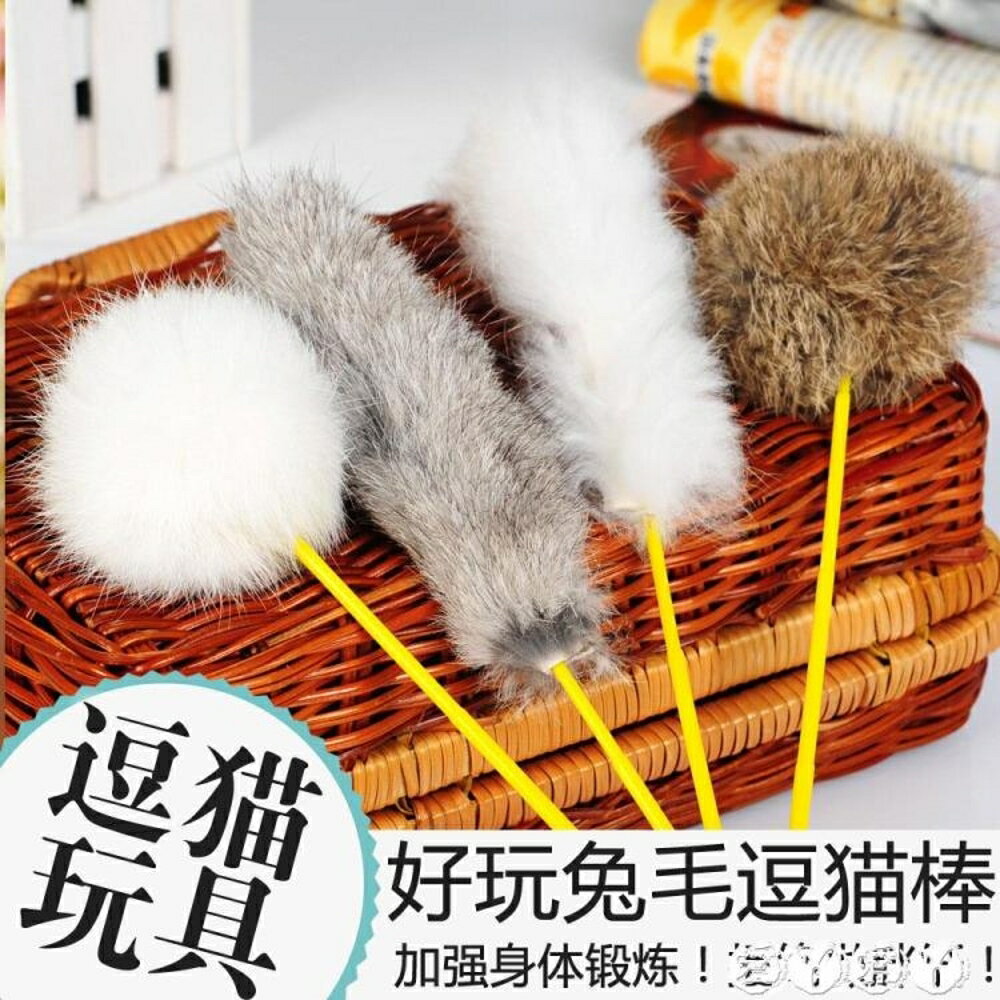 貓玩具 貓玩具逗貓棒兔毛逗貓玩具鬥貓棒小球長條逗貓桿貓咪玩具 樂樂貓 全館免運