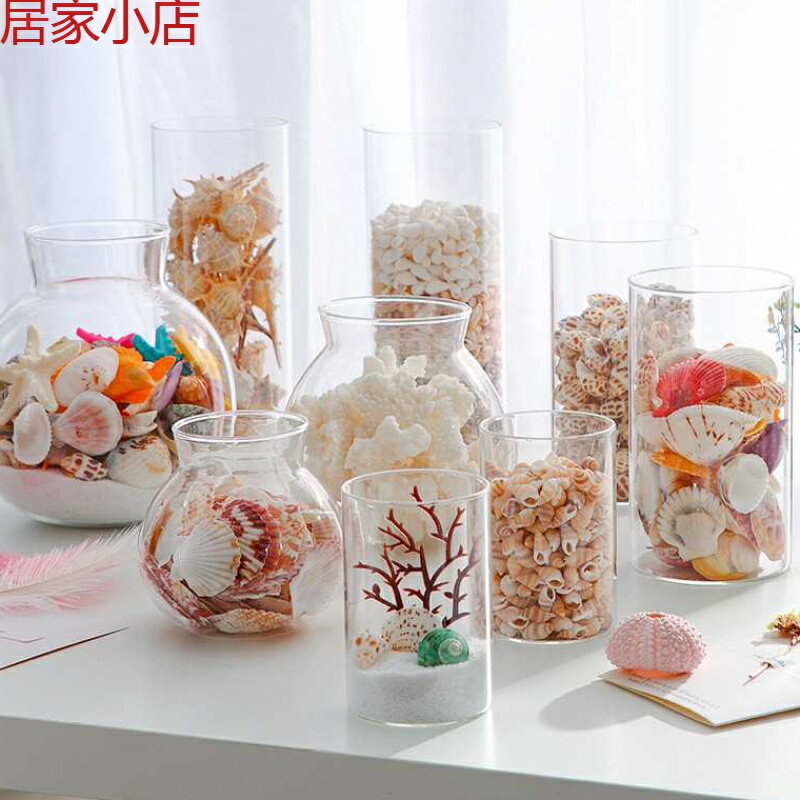 玻璃透明花瓶天然貝殼海螺簡約小清新客廳家居裝飾品擺件
