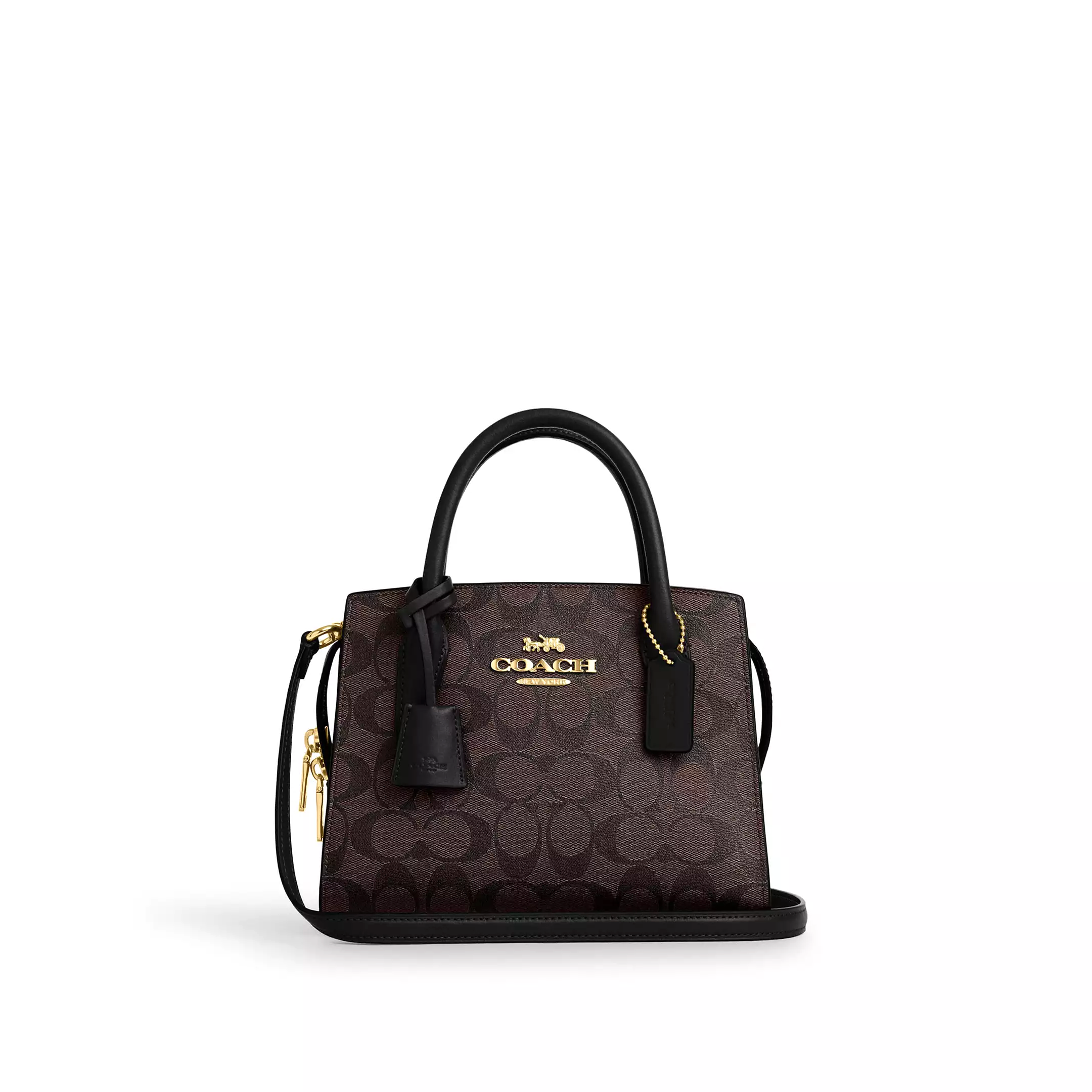 ANDREA CARRYALL 22 托特