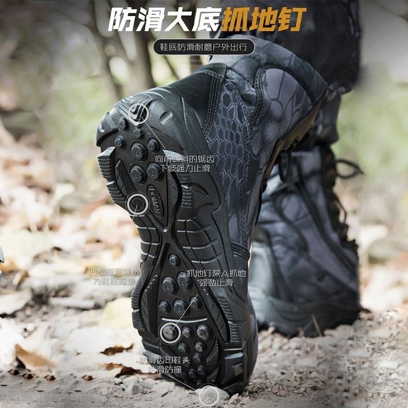 戶外男鞋 盾郎正品春秋蟒紋迷彩作戰靴男軍迷特種兵戰術鞋軍訓靴戶外登山鞋-快速出貨