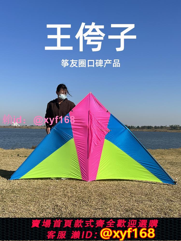正品濰坊王侉子544傘布風箏三角易飛大型高檔布料微風風箏小輕體