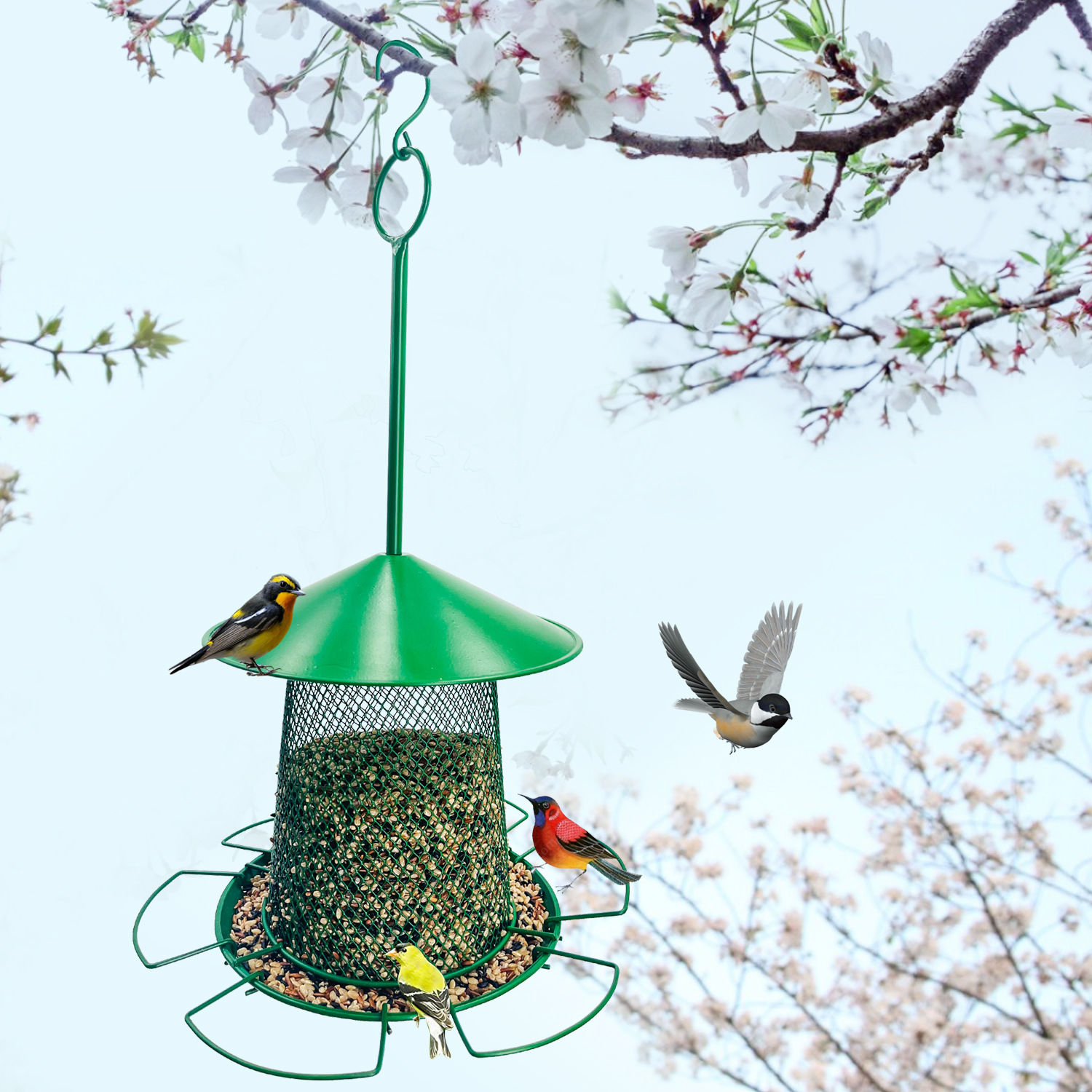 餵鳥器 戶外喂鳥器室外庭院鳥類用品懸掛防濺鳥食盒鳥用飲水器自動喂水盒