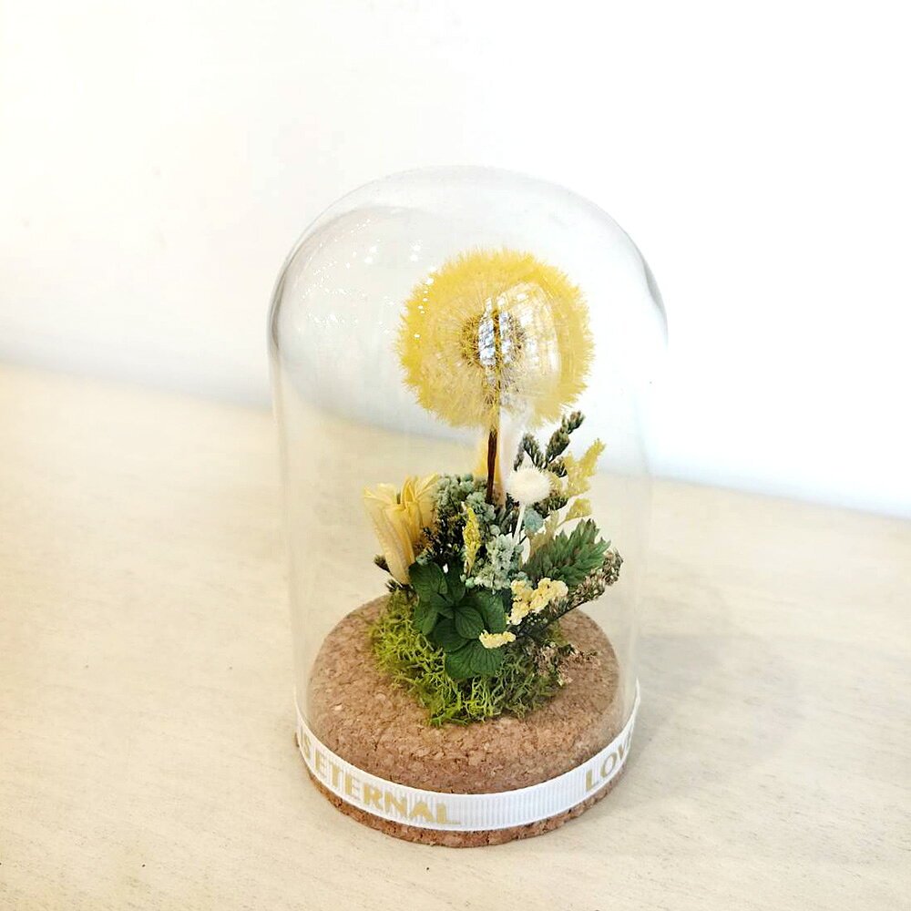萩蒔花花藝x覓品竹北手作店-乾燥花x永生花創作橢圓玻璃花盅-幸福蒲公英-共2色 2