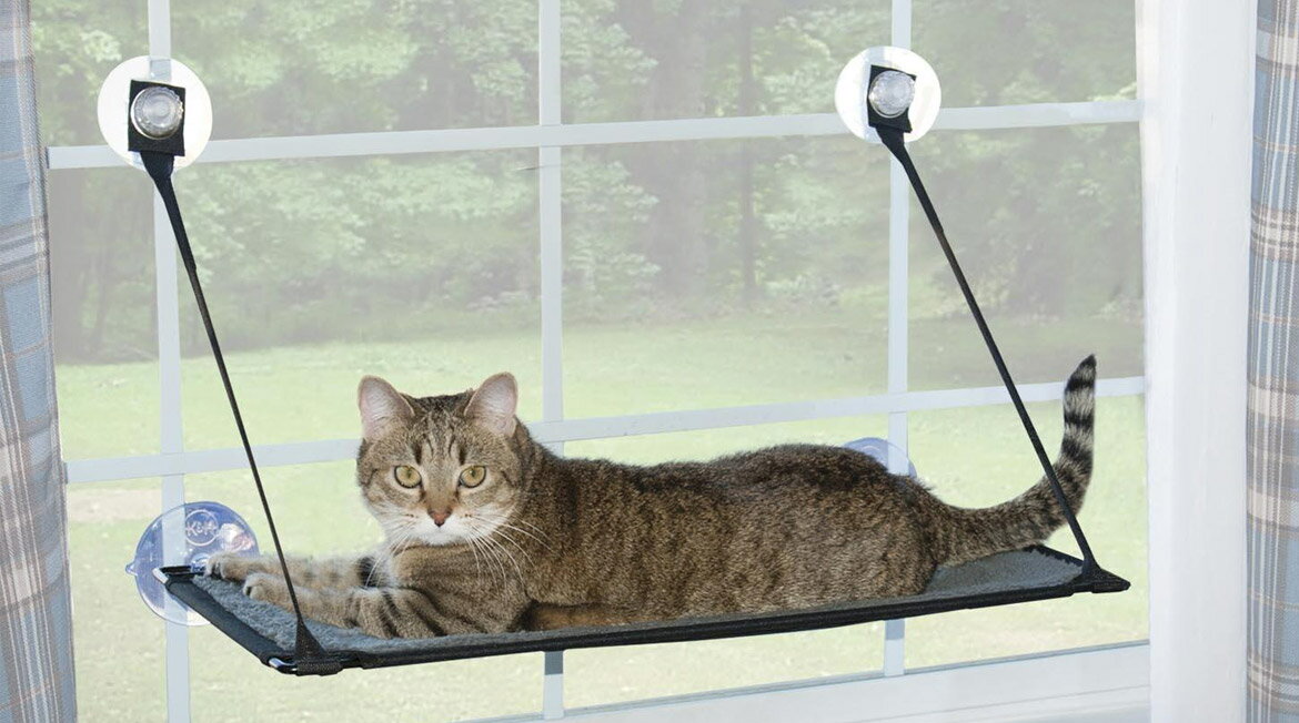 美國K&H 貓咪窗戶吸盤 單層吊床